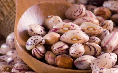 Fagioli Borlotti